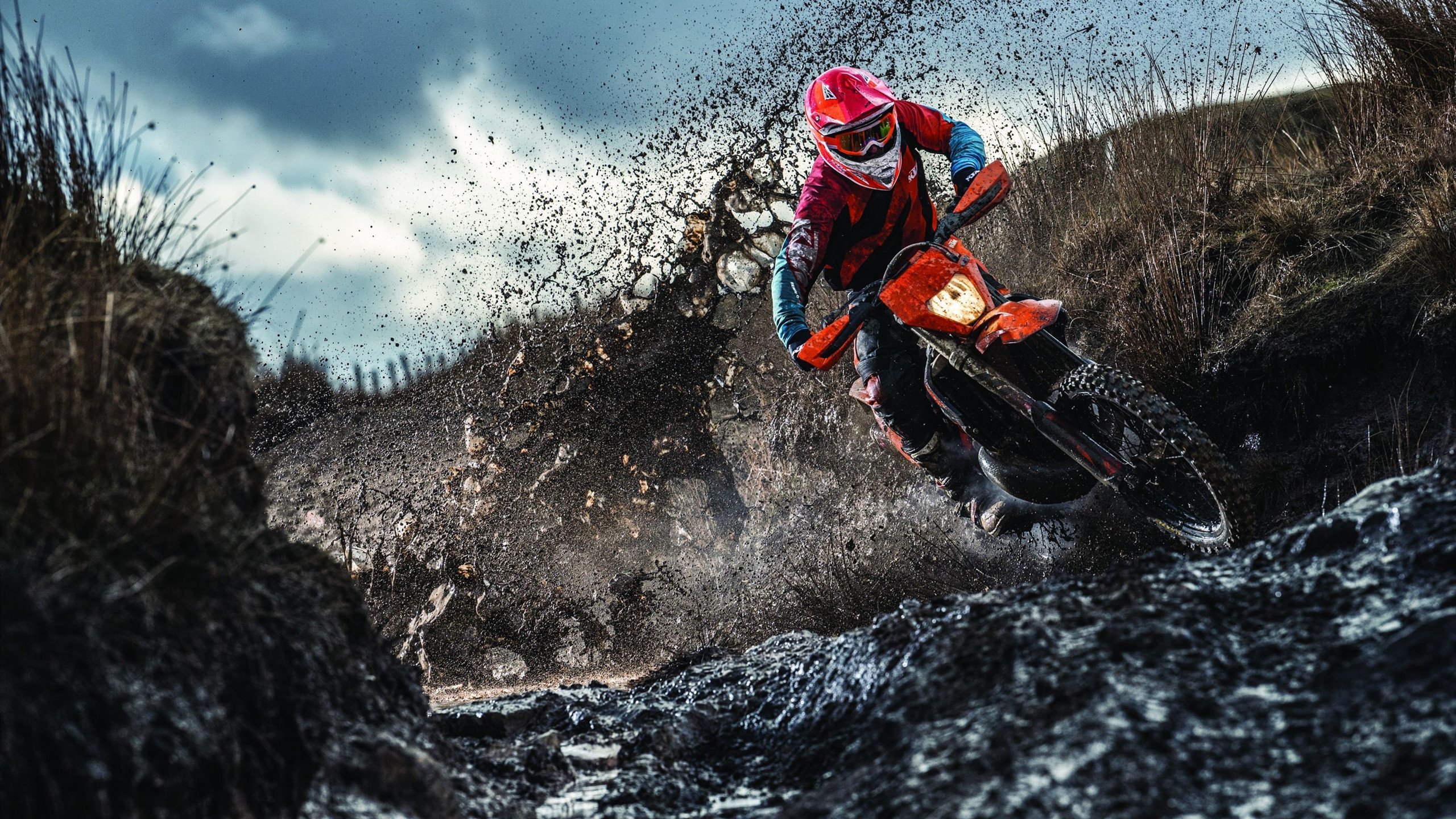 开云体育登录网站入口-公牛队展开疯狂反击,争夺季后赛名额,公牛队现状